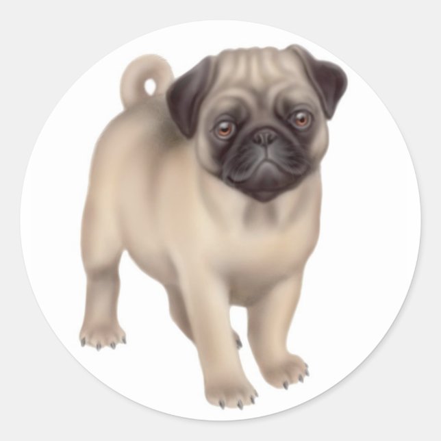 Rond Sticker pour chiot carlin (Devant)