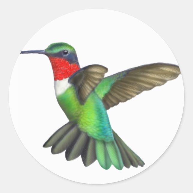 Rond Sticker pour colibri volant en rubis fileté (Devant)