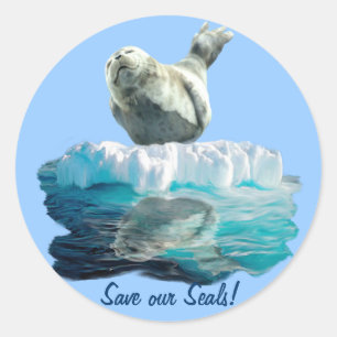 Rond Sticker pour défenseur de la faune de HARBOR-SEAL