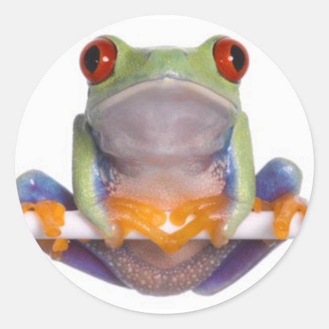 Rond Sticker pour grenouille à arbre 2 (Devant)