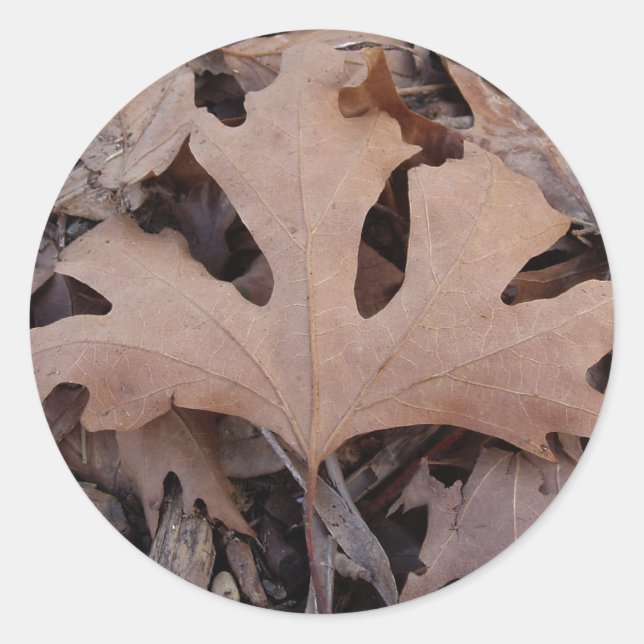 Rond Sticker pour la feuille d'automne (Devant)