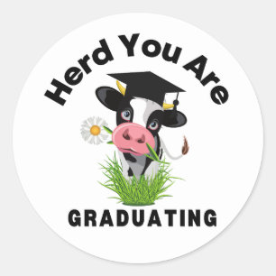 Rond Sticker pour la graduation de vache drôle