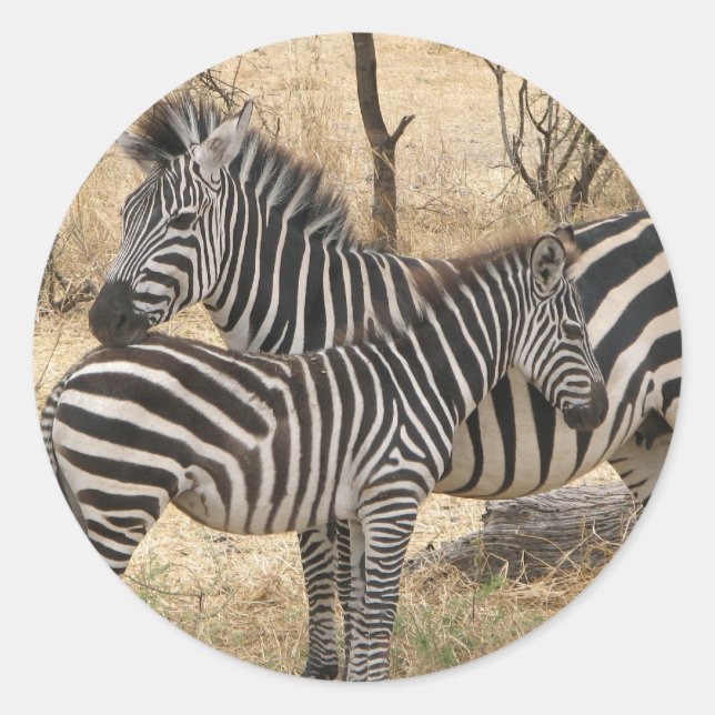 Rond Sticker pour la mère et le bébé Zebra (Devant)