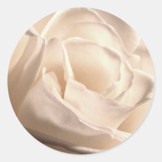 Rond Sticker pour le phoque blanc de mariage d'invitati