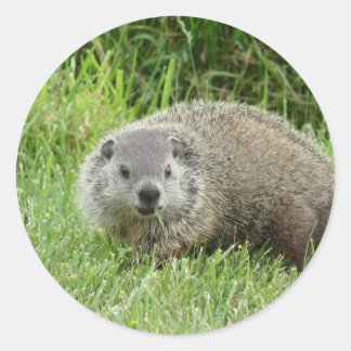 Rond Sticker pour le sol