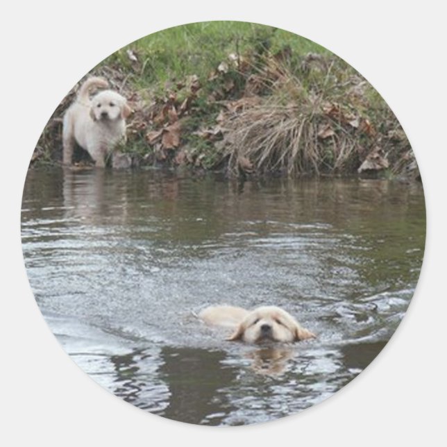 Rond Sticker pour marionnettes Golden Retriever (Devant)