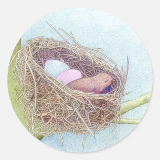 Rond Sticker pour nids d'oiseaux (Devant)
