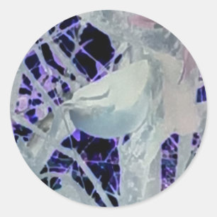 Rond Sticker pour oiseaux Incognito