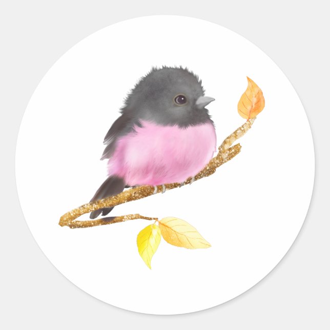 Rond Sticker pour oiseaux Robin Rose (Devant)