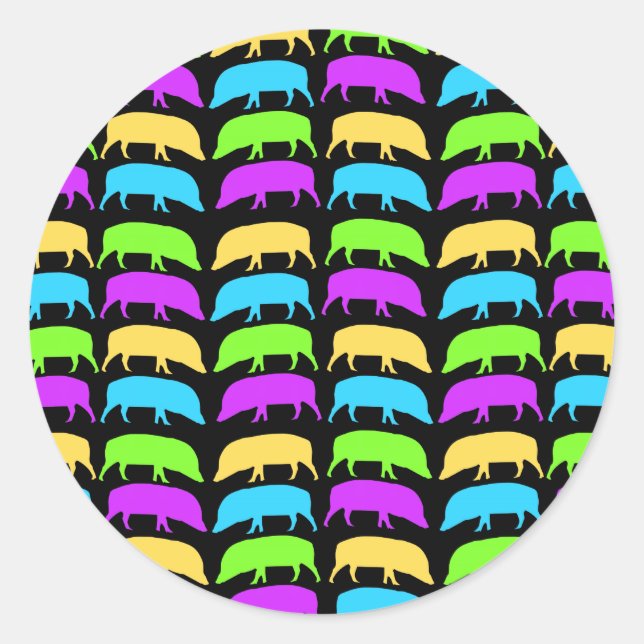 Rond Sticker pour porcs multicolores (Devant)