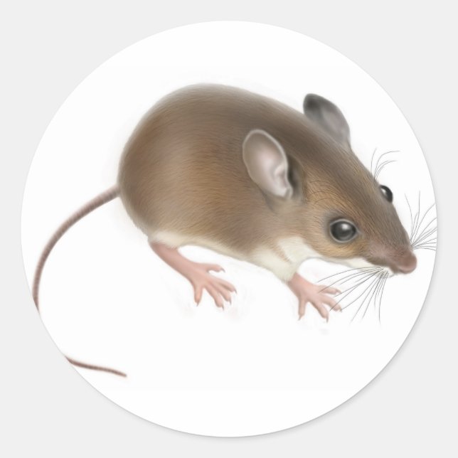 Rond Sticker pour souris de cerf (Devant)