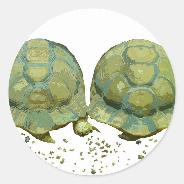 Rond Sticker pour tortues caricaturales (Devant)