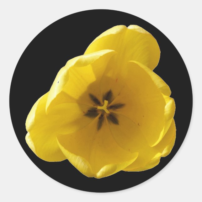 Rond Sticker pour tulipe jaune (Devant)