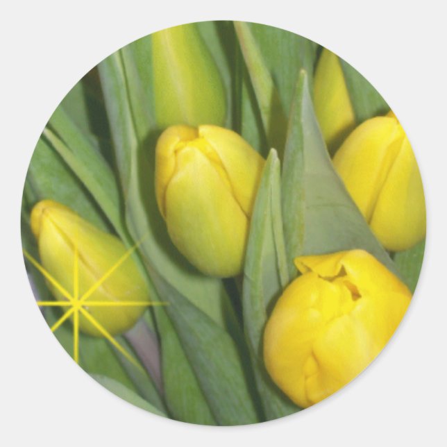 Rond Sticker pour tulipes (Devant)