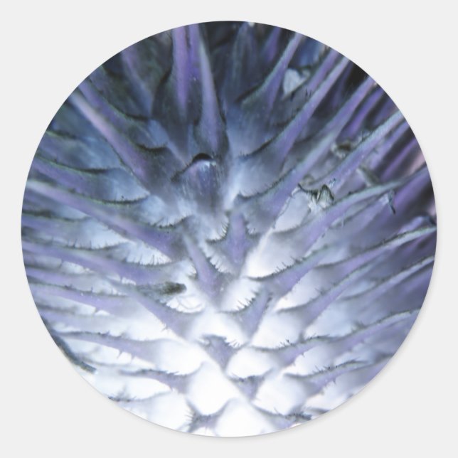 Rond Sticker Princess Wulass Grass Ice (Devant)