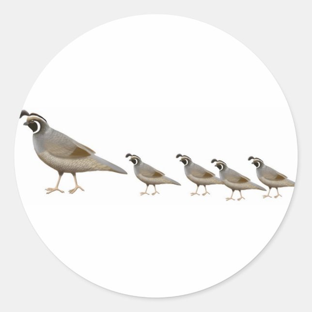 Rond Sticker Quail Family (Devant)