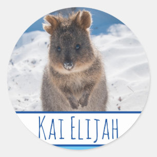 Rond Sticker Quokka Beach Personnalisé Blue Boys