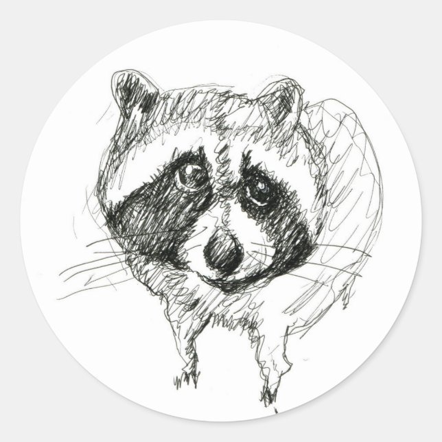 Rond Sticker Raccoon (Devant)