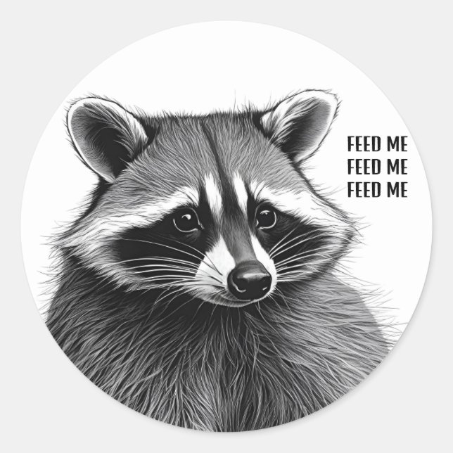 Rond Sticker Raccoon (Devant)