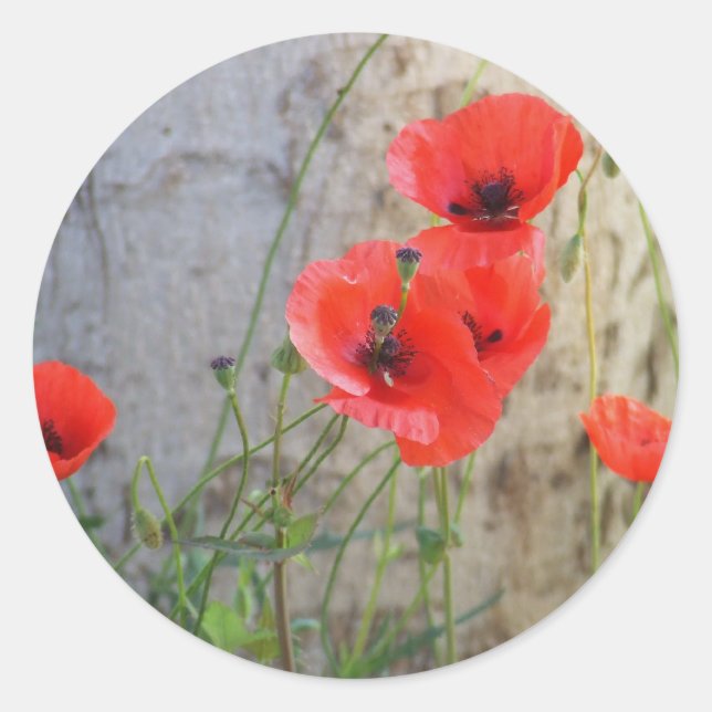 Rond Sticker Red Field Corn Poppies (Devant)