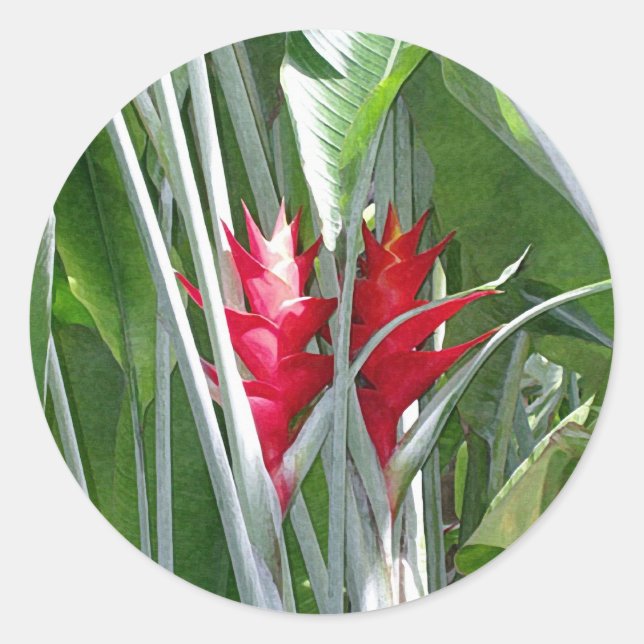 Rond Sticker Red Ginger (Devant)