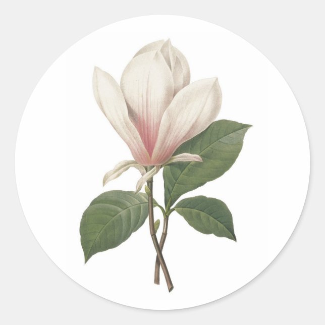Rond Sticker Redoute Magnolia (Devant)