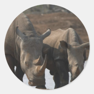 Rond Sticker Rhinos Noir