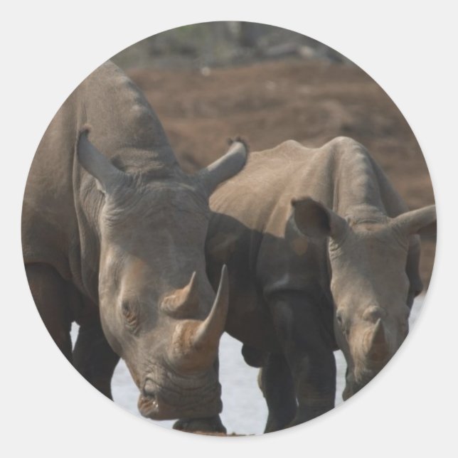 Rond Sticker Rhinos Noir (Devant)
