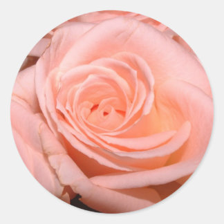 Rond Sticker rose