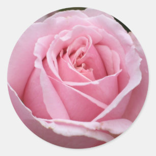 Rond Sticker rose