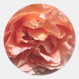 Rond Sticker rose