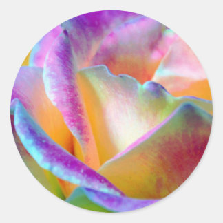 Rond Sticker Rose arc-en-ciel