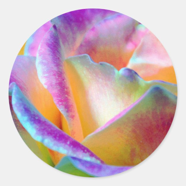 Rond Sticker Rose arc-en-ciel (Devant)