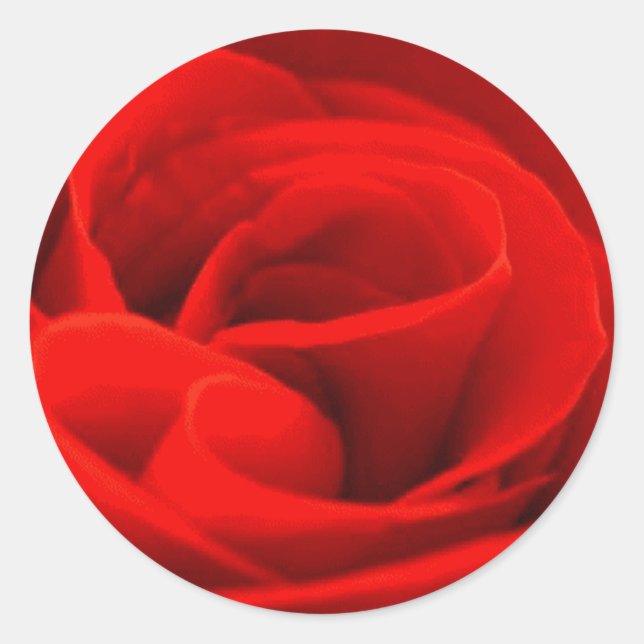 Rond Sticker rose Blossom (Devant)