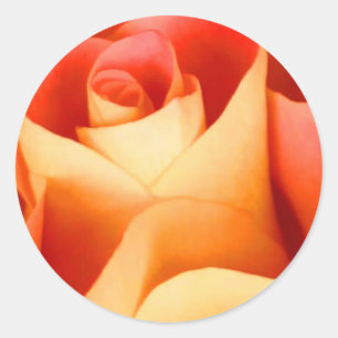 Rond Sticker Rose Enveloppe de Pêche