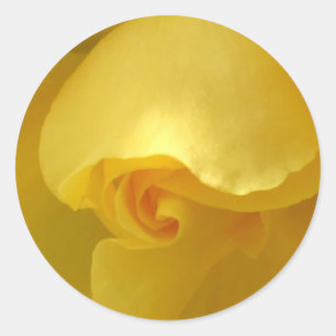 Rond Sticker rose jaune