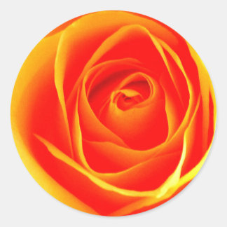 Rond Sticker rose jaune/rouge
