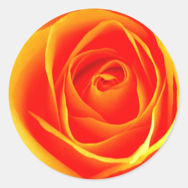 Rond Sticker rose jaune/rouge (Devant)