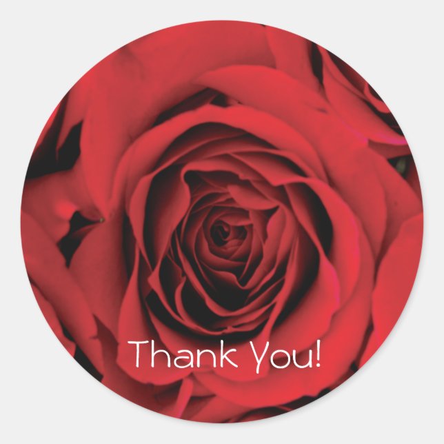 Rond Sticker rose Merci (Devant)