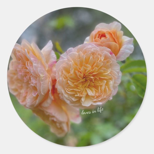 Rond Sticker Rose Peach (Devant)