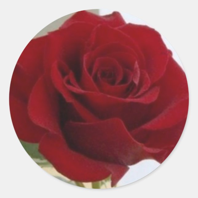 Rond Sticker Rose rouge (Devant)