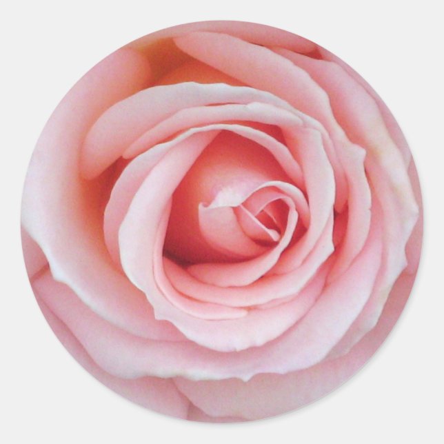 Rond Sticker rose souple (Devant)