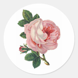 Rond Sticker Rose victorien doux