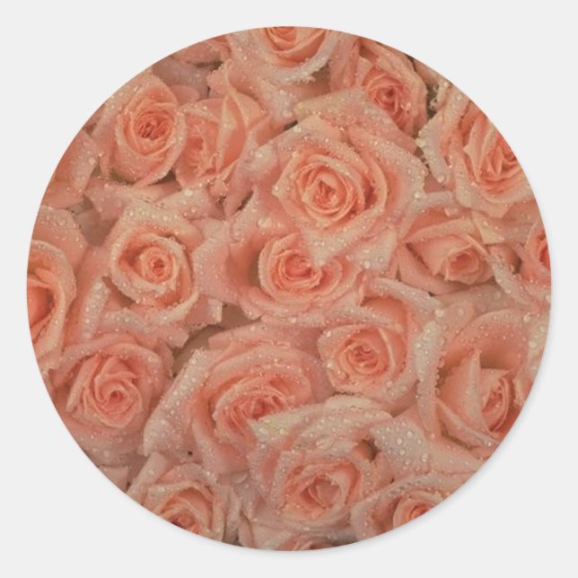 Rond Sticker Roses Rose (Devant)