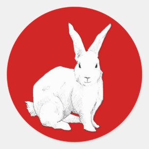 Rond Sticker rouge lapin