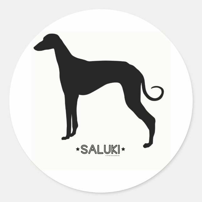 Rond Sticker Saluki (Devant)