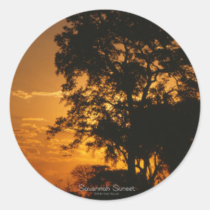 Rond Sticker Savannah Sunset
