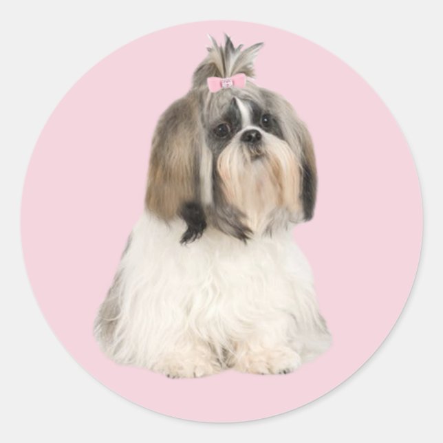 Rond Sticker Shih Tzu (Devant)