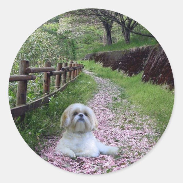 Rond Sticker Shih Tzu Fleurs violettes (Devant)