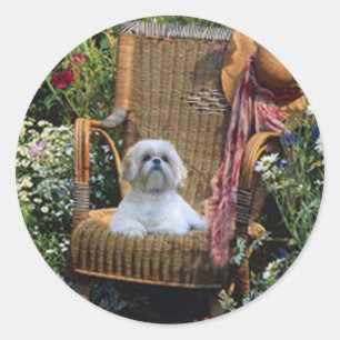 Rond Sticker Shih Tzu Garden